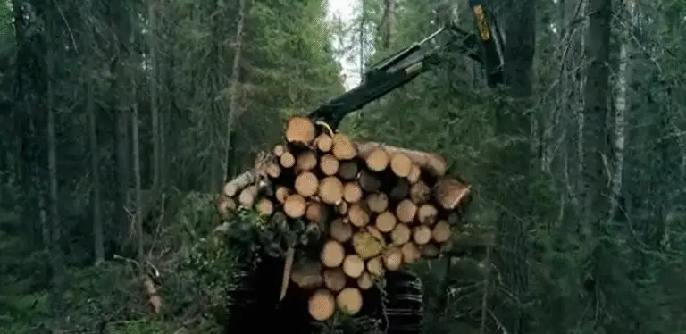 Screenshot 2025-10-01 144212