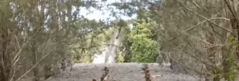 Screenshot 2025-10-06 224315