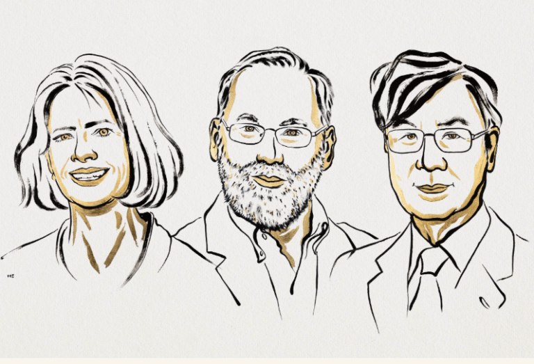 Screenshot 2025-10-06 232204