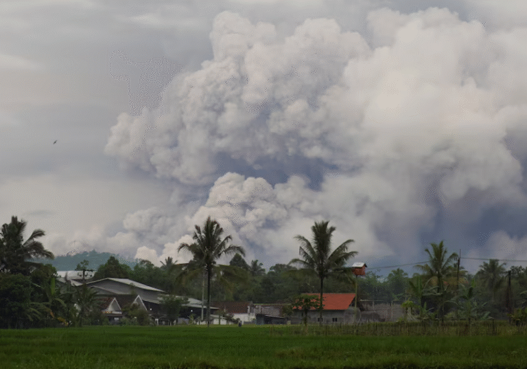 Screenshot 2025-11-20 125227